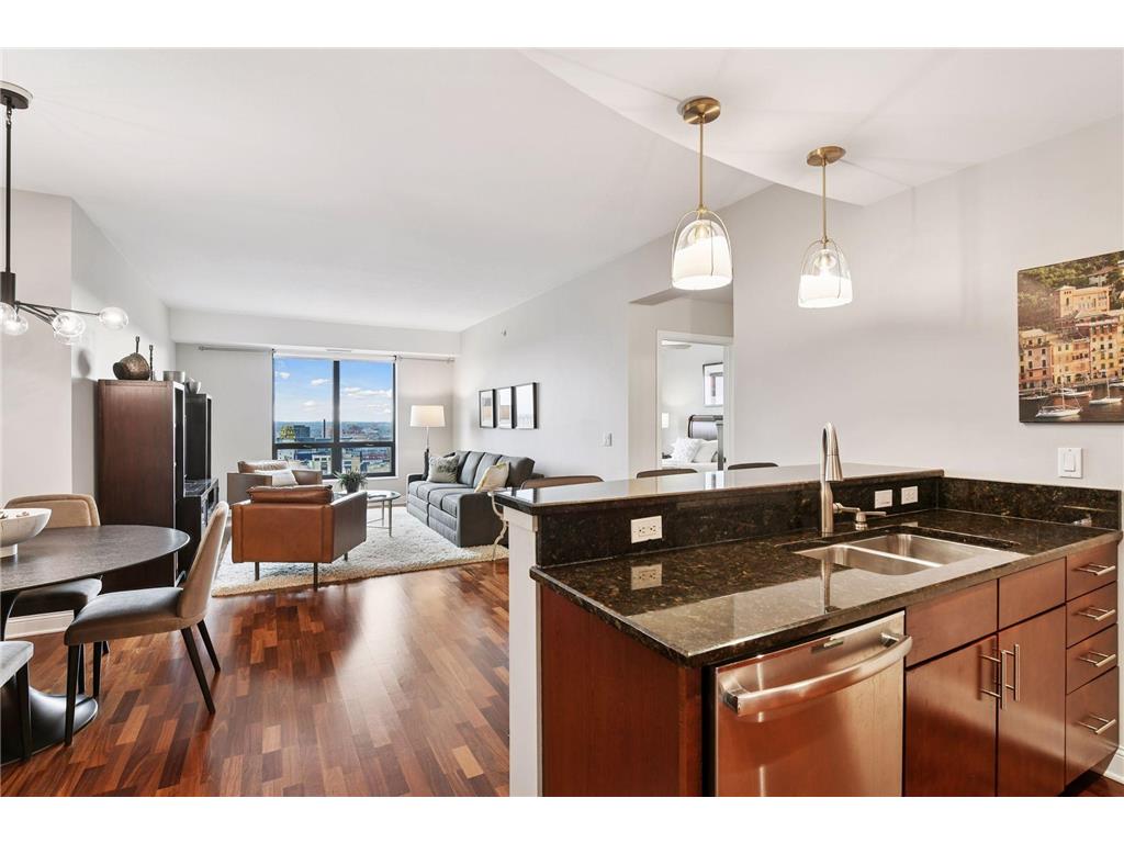 100 3rd Avenue S #2201 Minneapolis MN 55401 - Mississippi 6813880 image17