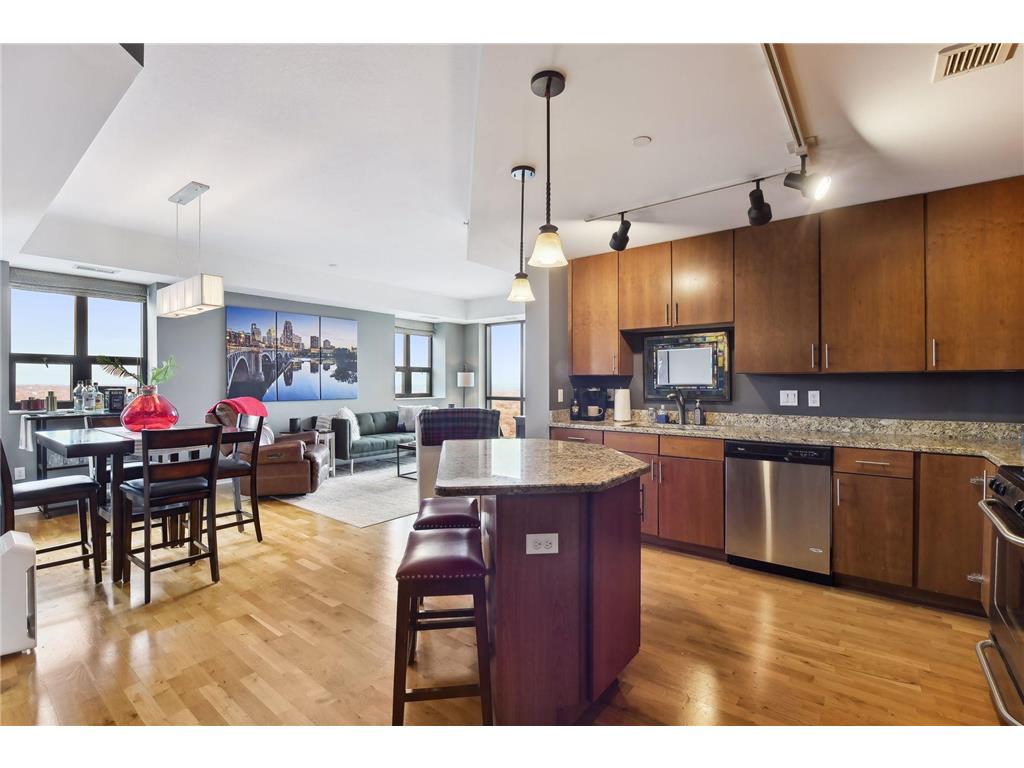 100 3rd Avenue S #2304 Minneapolis MN 55401 - Mississippi 6361132 image1