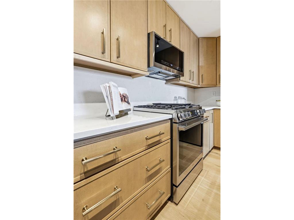100 3rd Avenue S #2801 Minneapolis MN 55401 - Mississippi 7071756 image11