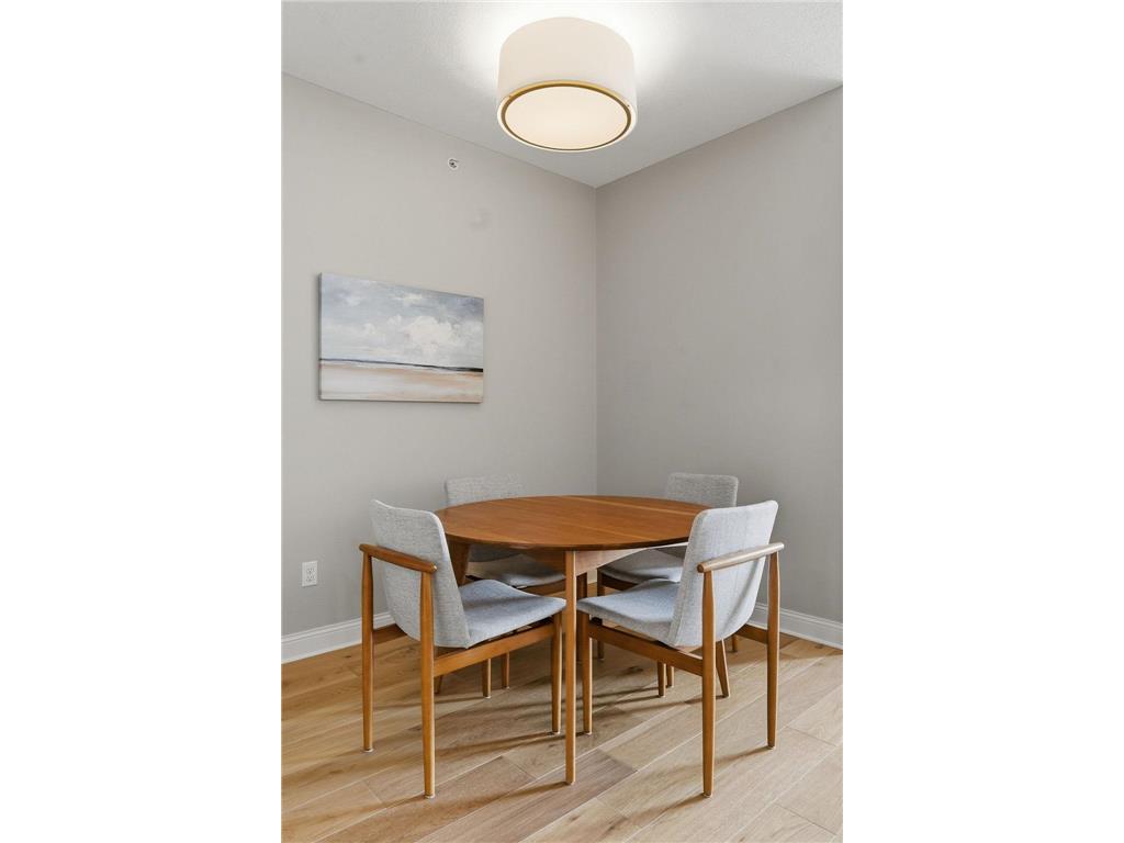 100 3rd Avenue S #2801 Minneapolis MN 55401 - Mississippi 7071756 image14