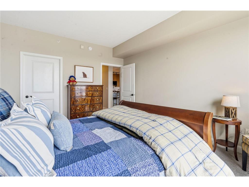 100 3rd Avenue S #2801 Minneapolis MN 55401 - Mississippi 7071756 image22
