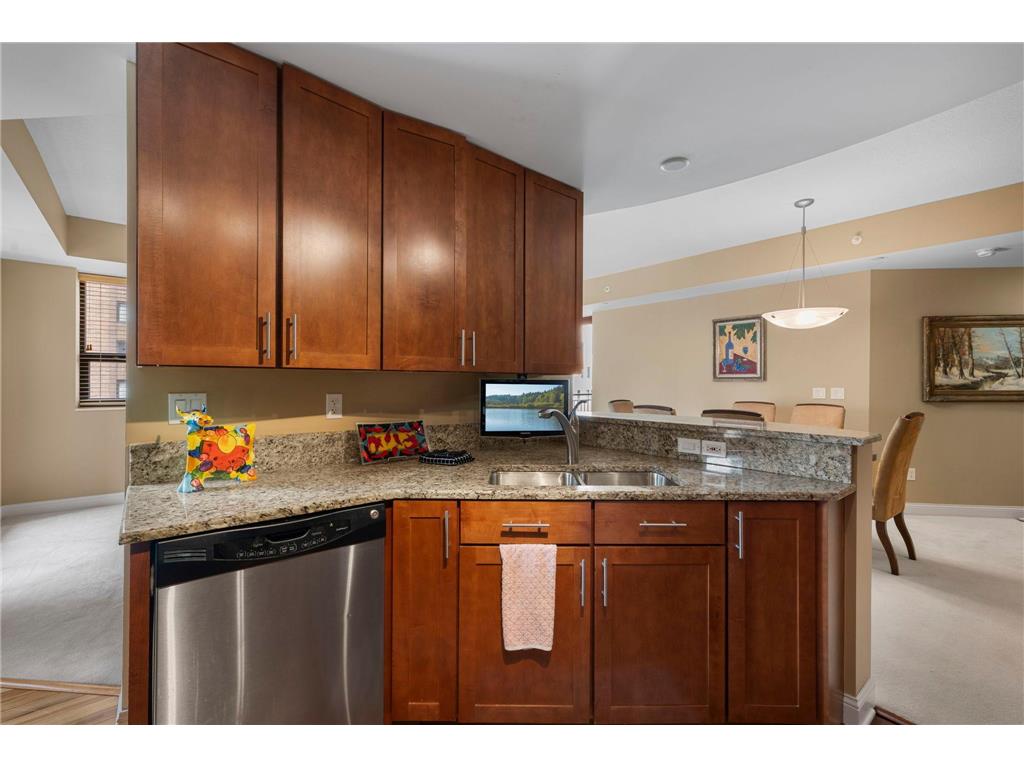 100 3rd Avenue S #705 Minneapolis MN 55401 7105115 image20