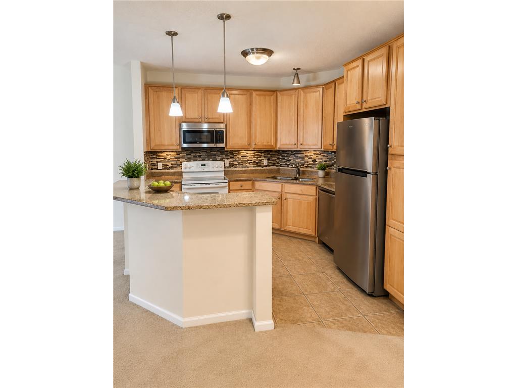 100 4th Avenue N #107 South Saint Paul MN 55075 7080088 image2