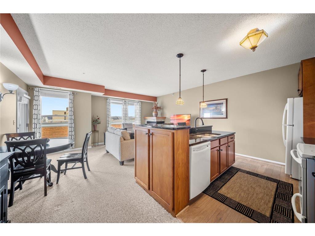 100 4th Avenue N #208 South Saint Paul MN 55075 6815934 image6