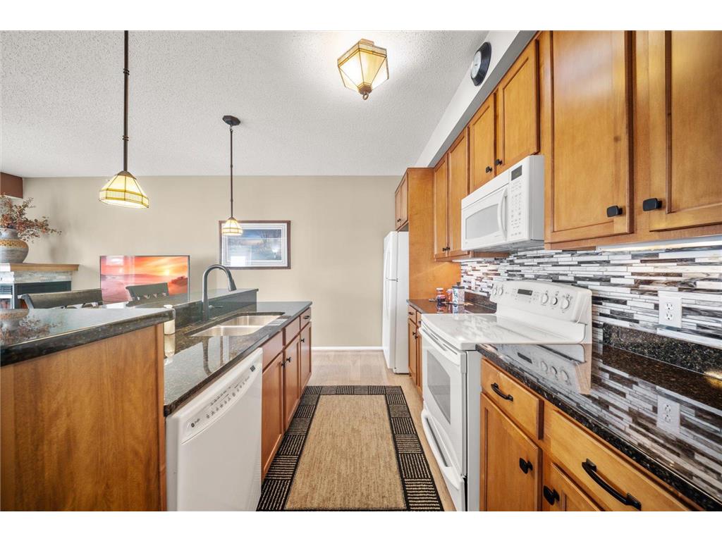 100 4th Avenue N #208 South Saint Paul MN 55075 6815934 image9