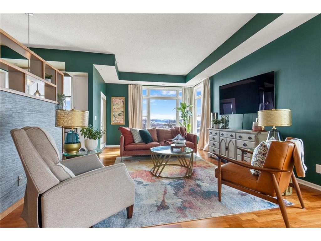 100 4th Avenue N #302 South Saint Paul MN 55075 - Mississippi 6498916 image1