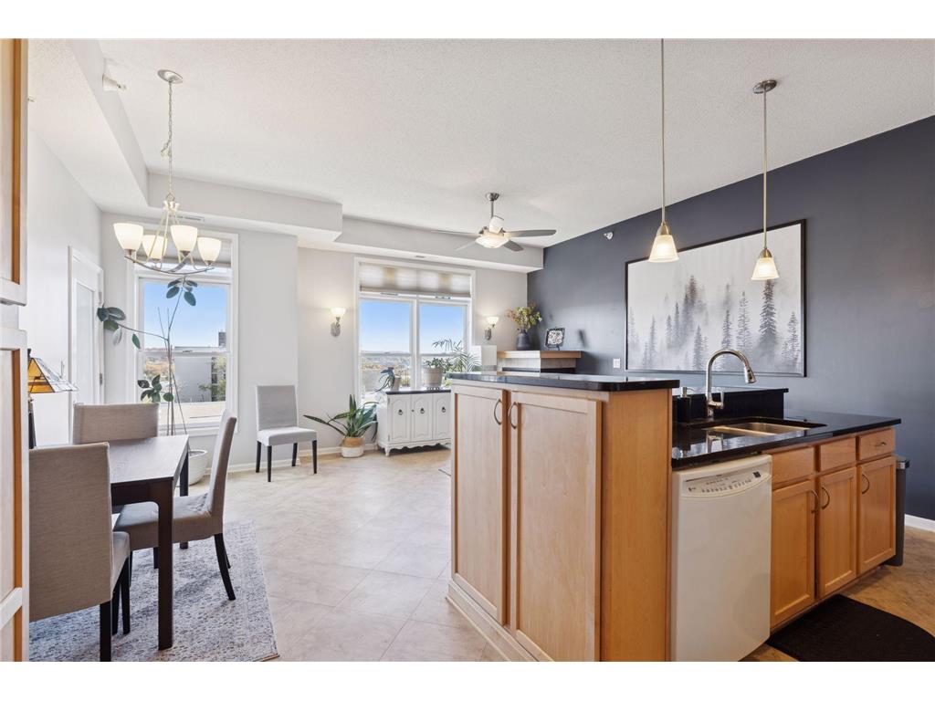 100 4th Avenue N #308 South Saint Paul MN 55075 - Mississippi 6814128 image3