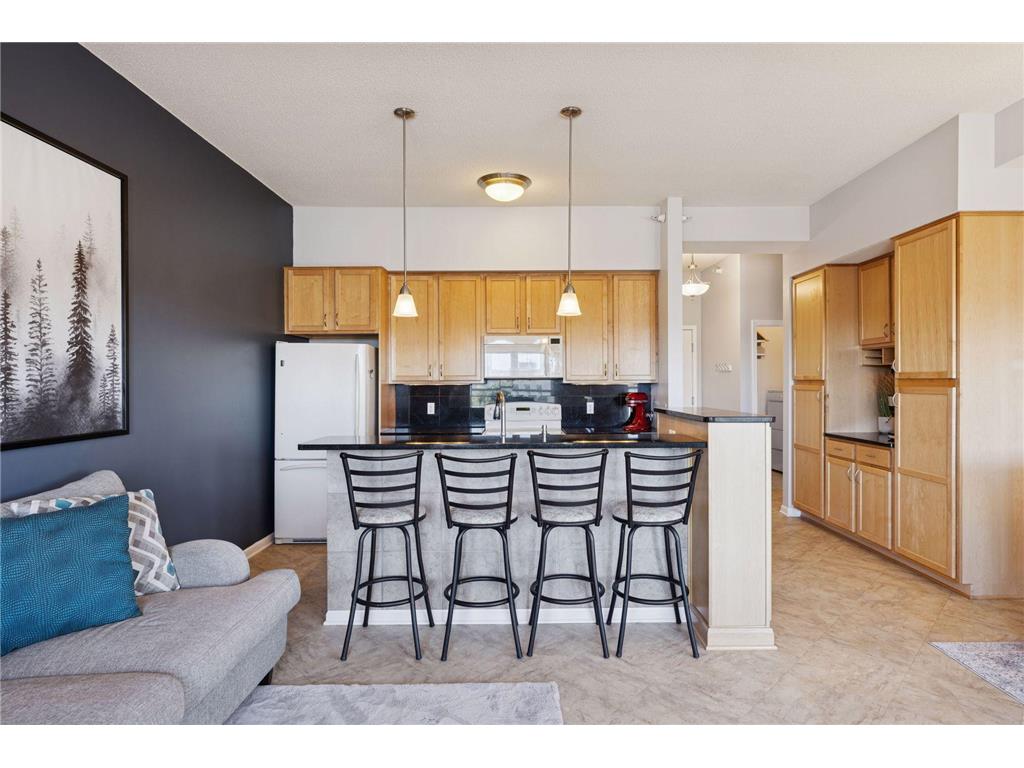 100 4th Avenue N #308 South Saint Paul MN 55075 - Mississippi 6814128 image8