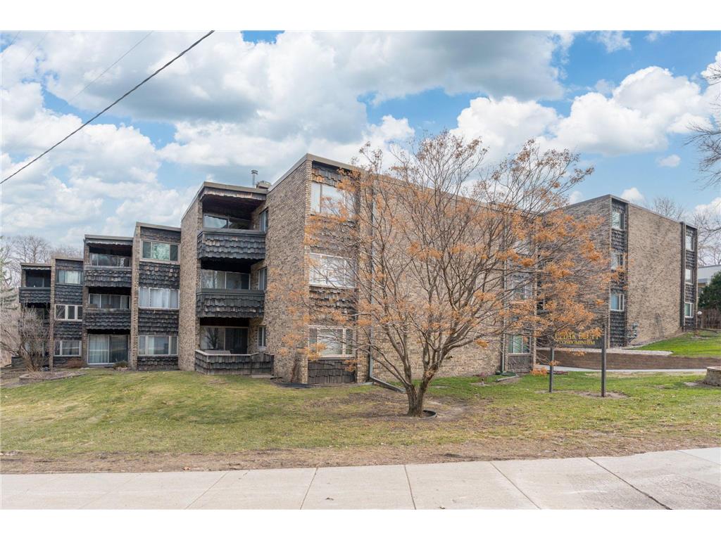 100 Cedar Street #305 Mankato MN 56001 7041781 image1