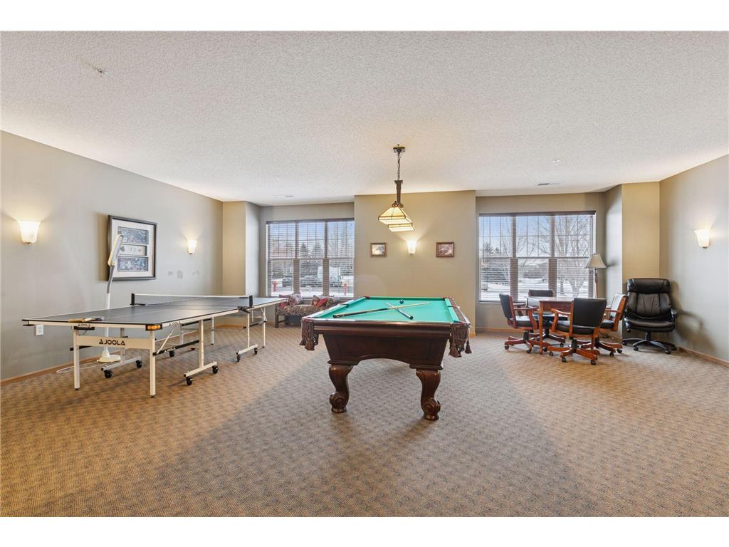 100 Clydesdale Trail #101 Medina MN 55340 7076478 image31