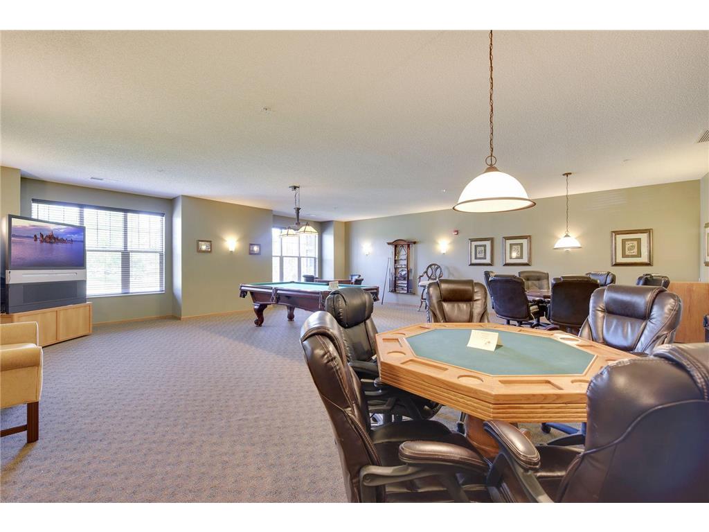 100 Clydesdale Trail #101 Medina MN 55340 7076478 image32