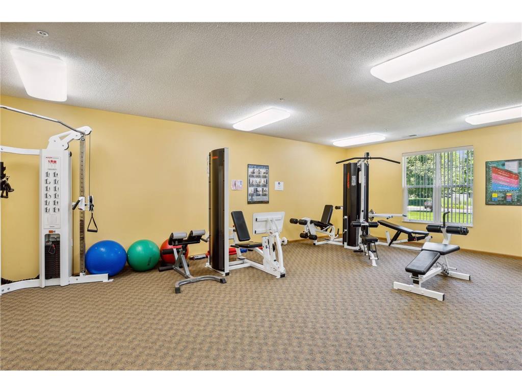 100 Clydesdale Trail #101 Medina MN 55340 7076478 image35
