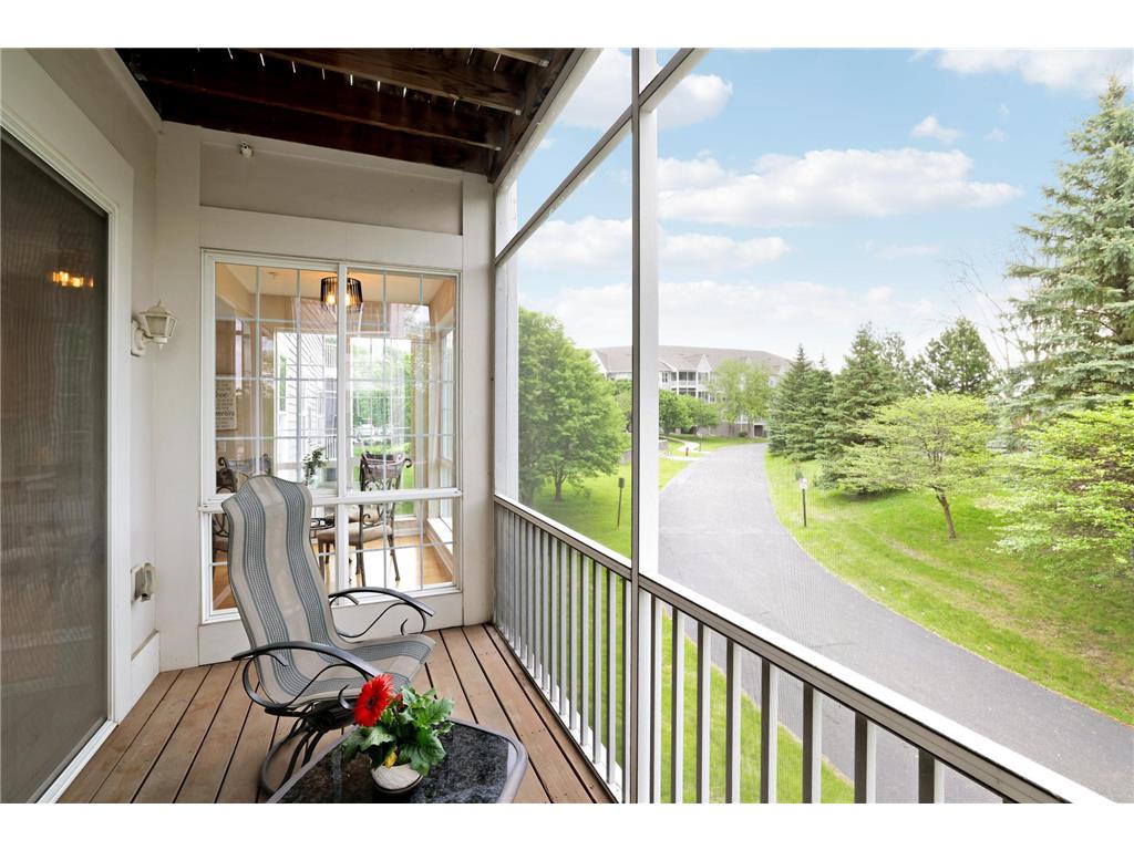 100 Clydesdale Trail #113 Medina MN 55340 7076098 image15