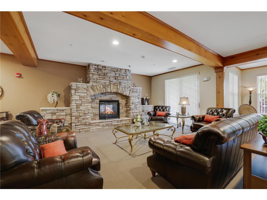 100 Clydesdale Trail #113 Medina MN 55340 7076098 image39