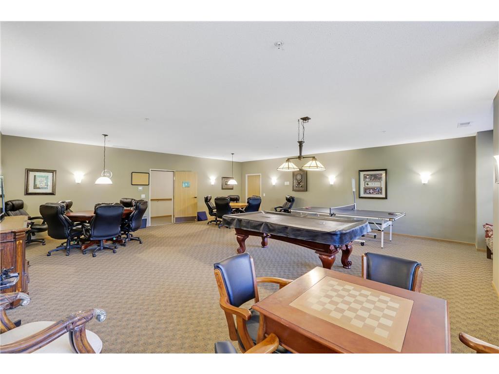 100 Clydesdale Trail #113 Medina MN 55340 7076098 image42