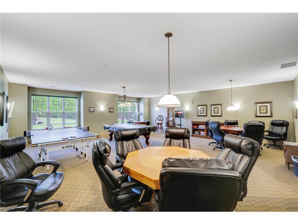 100 Clydesdale Trail #113 Medina MN 55340 7076098 image43