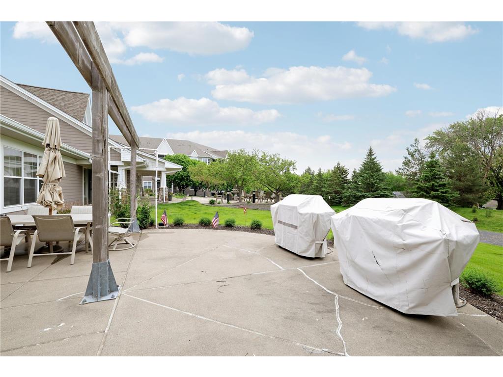 100 Clydesdale Trail #113 Medina MN 55340 7076098 image56