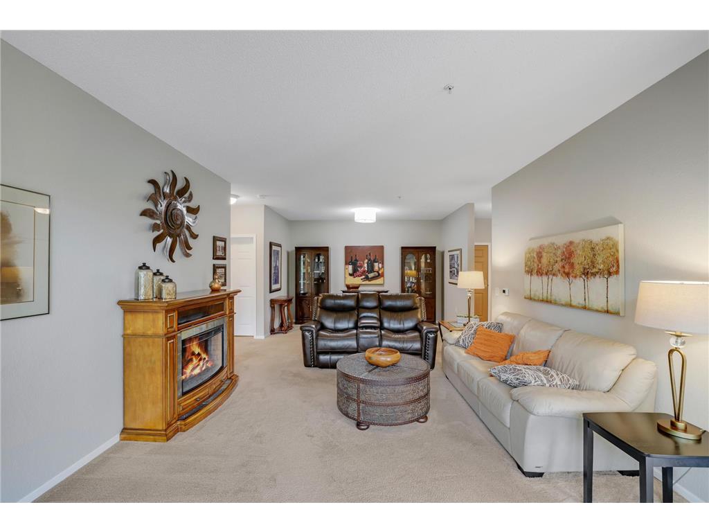 100 Clydesdale Trail #113 Medina MN 55340 7076098 image7