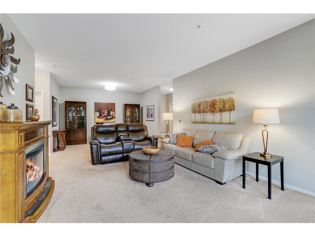 100 Clydesdale Trail #113 Medina MN 55340 7076098 image9