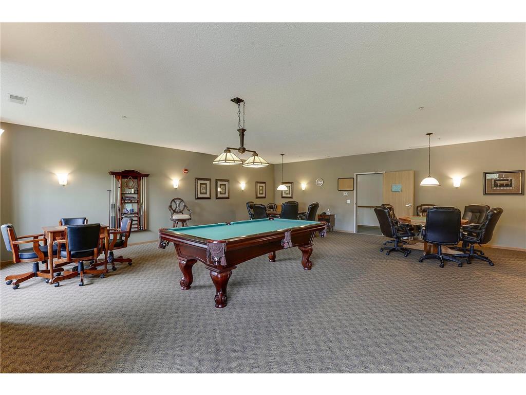 100 Clydesdale Trail #305 Medina MN 55340 7019264 image26