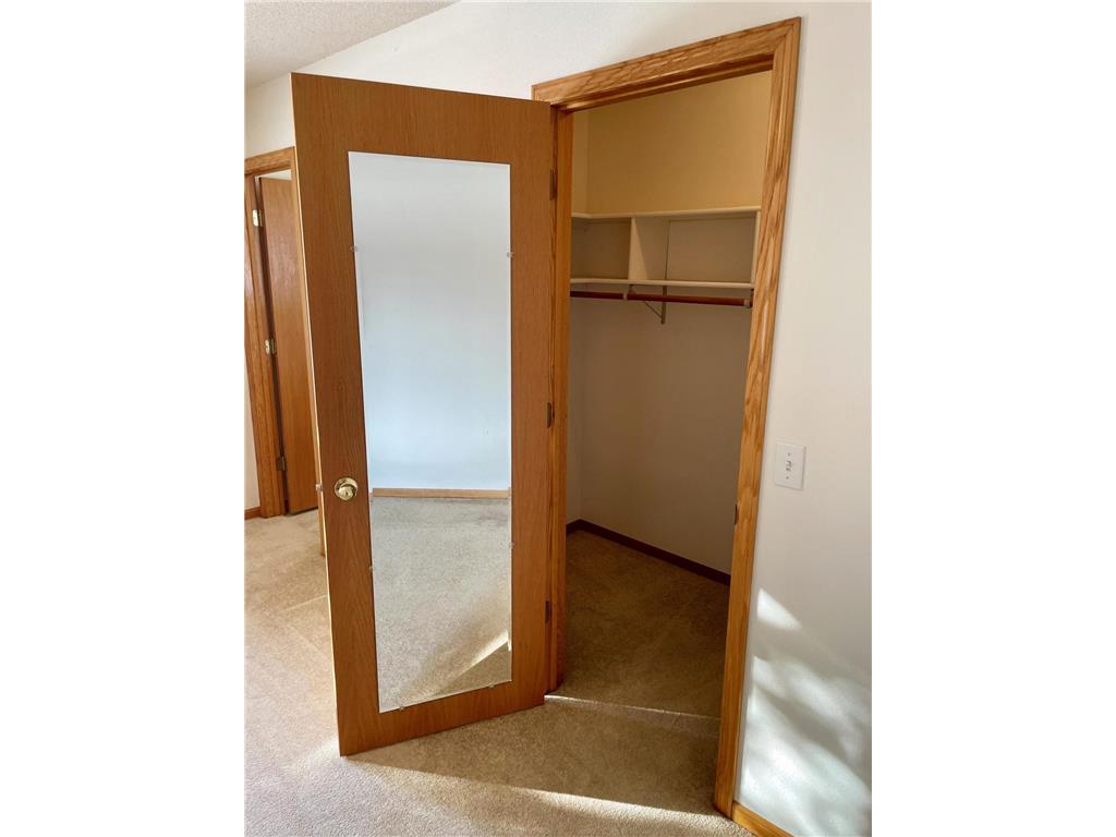 100 Idle Hour Court Wabasha MN 55981 6824401 image38