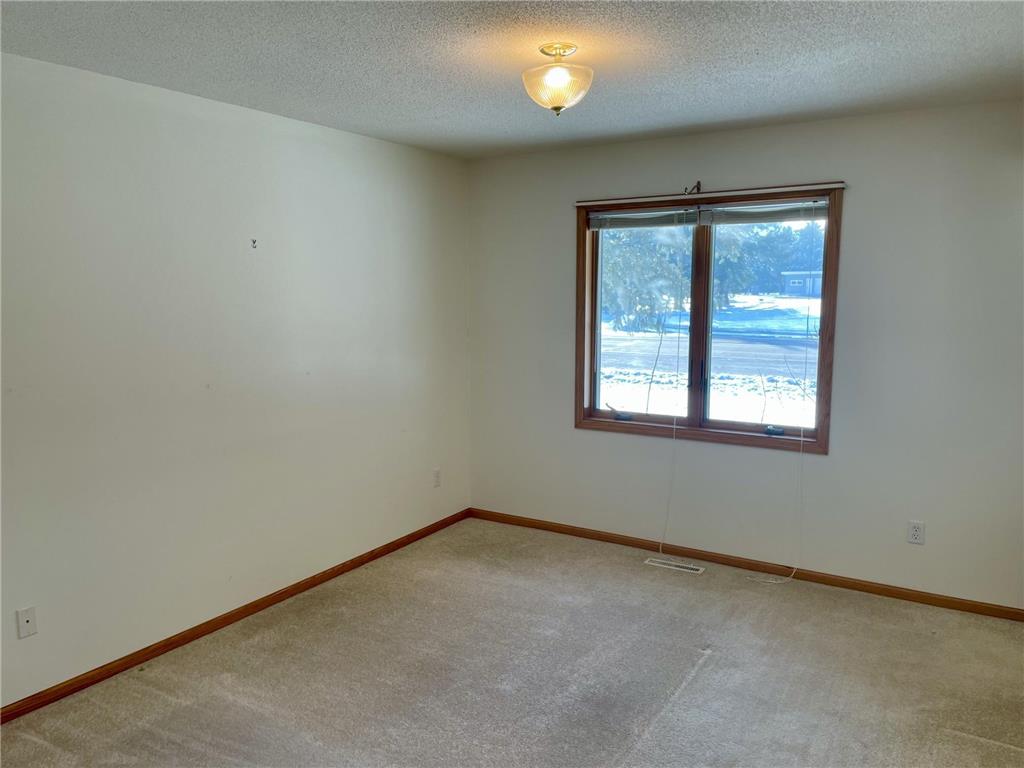 100 Idle Hour Court Wabasha MN 55981 6824401 image41