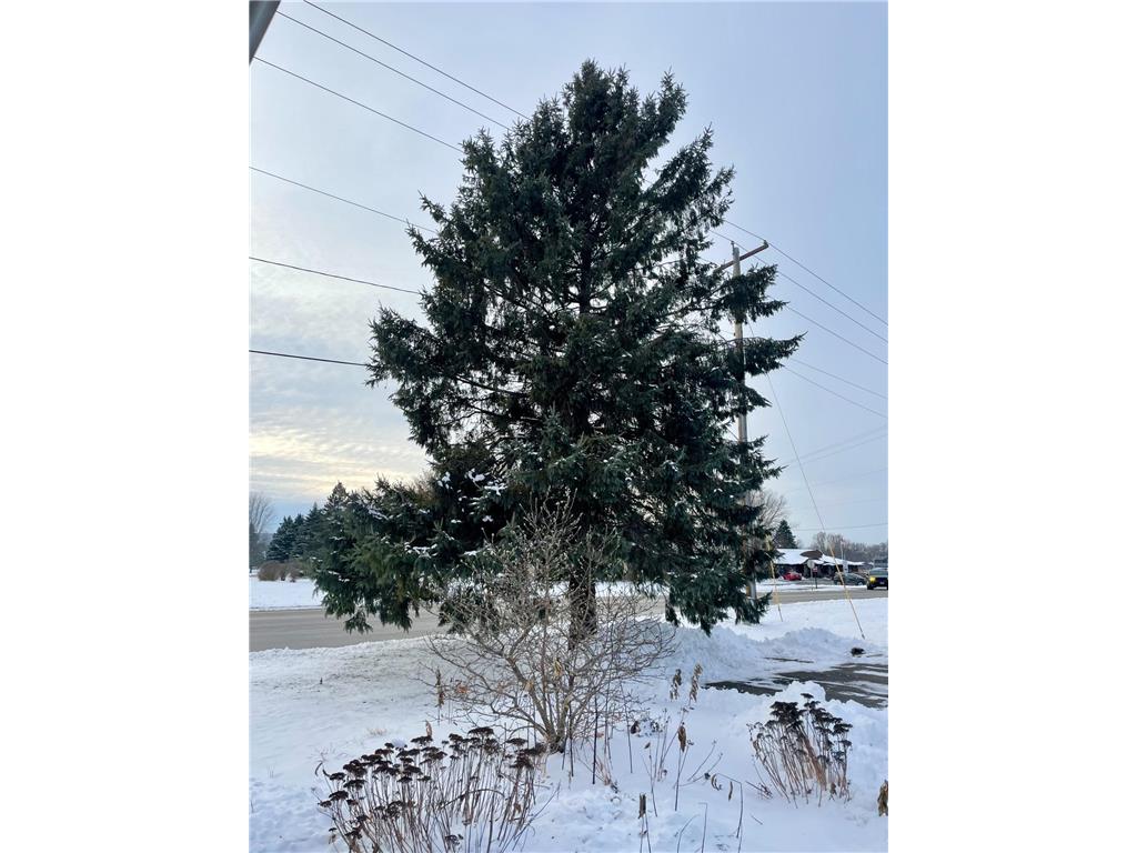 100 Idle Hour Court Wabasha MN 55981 6824401 image48