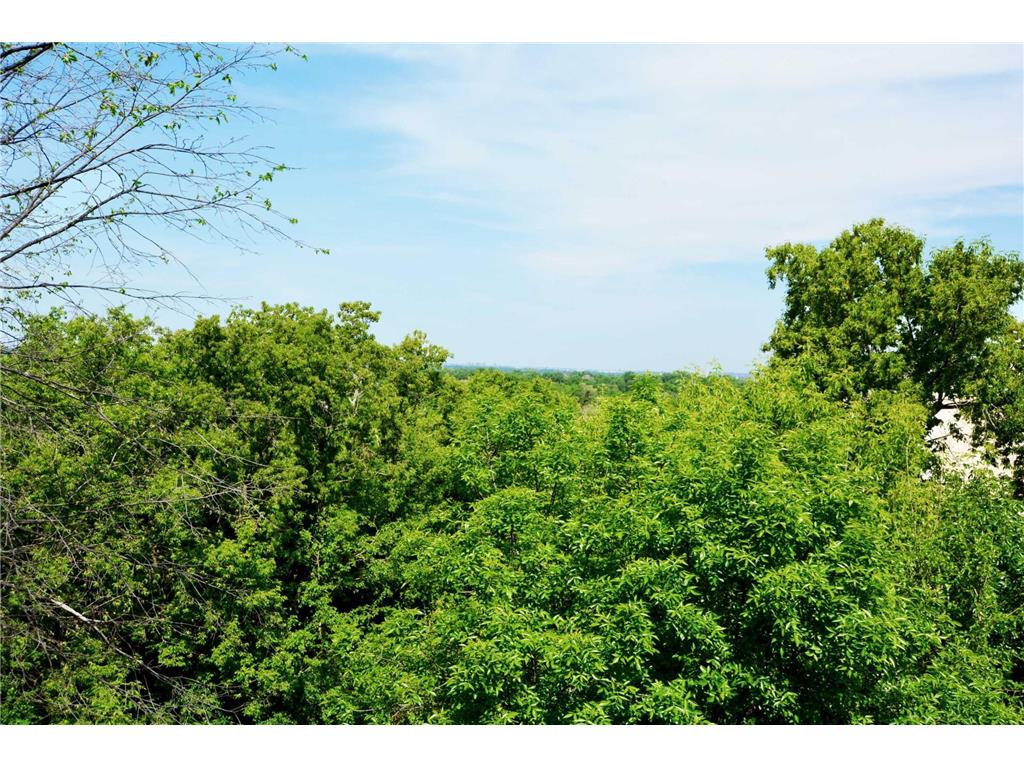 100 Imperial Drive W #502 West Saint Paul MN 55118 7079752 image4