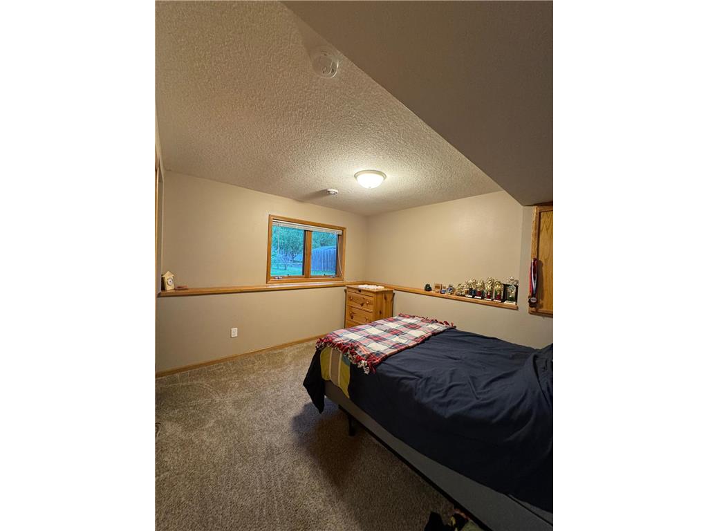 100 Vedders Avenue Pease MN 56363 7073924 image16