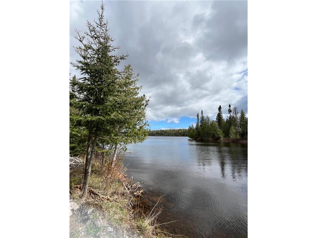 100 Wilderness Trail Hovland MN 55606 - Tom 7068453 image1