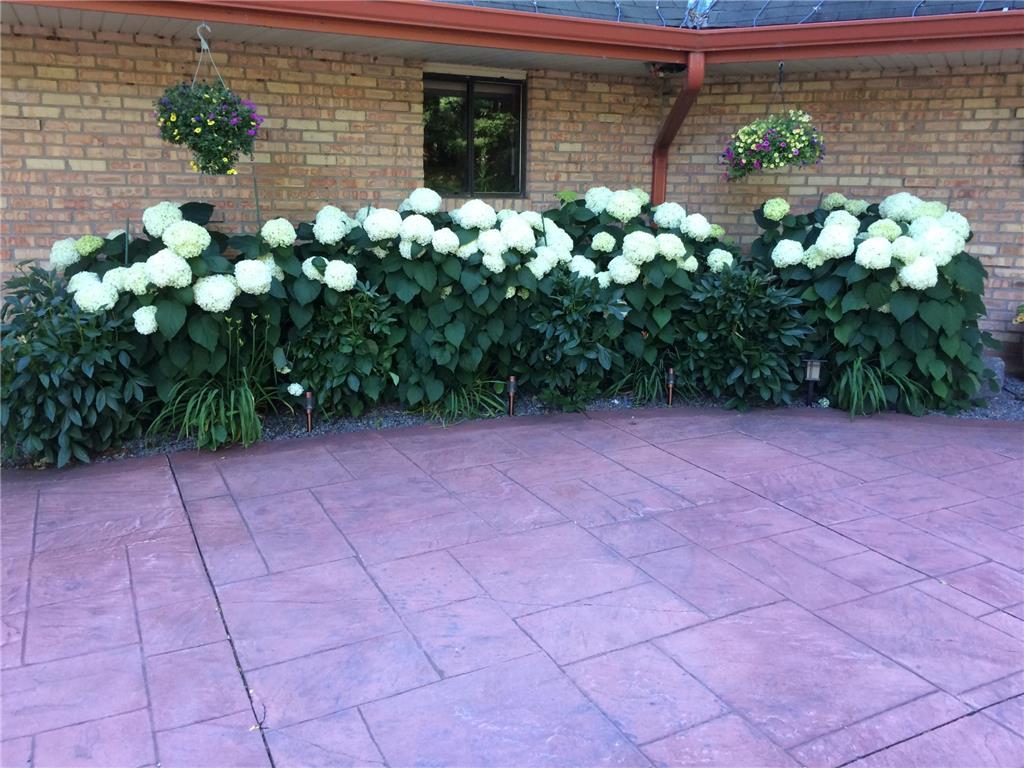 1000 Heritage Lane Orono MN 55391 - Lake Minnetonka 6670855 image16