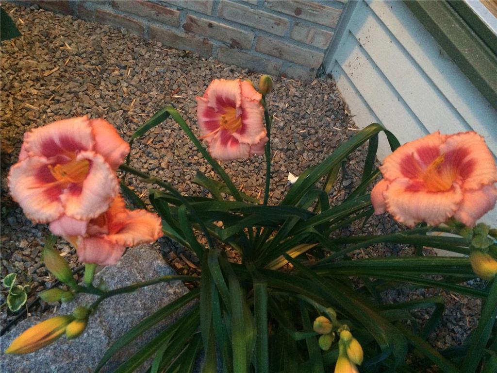 1000 Heritage Lane Orono MN 55391 - Lake Minnetonka 7028610 image15