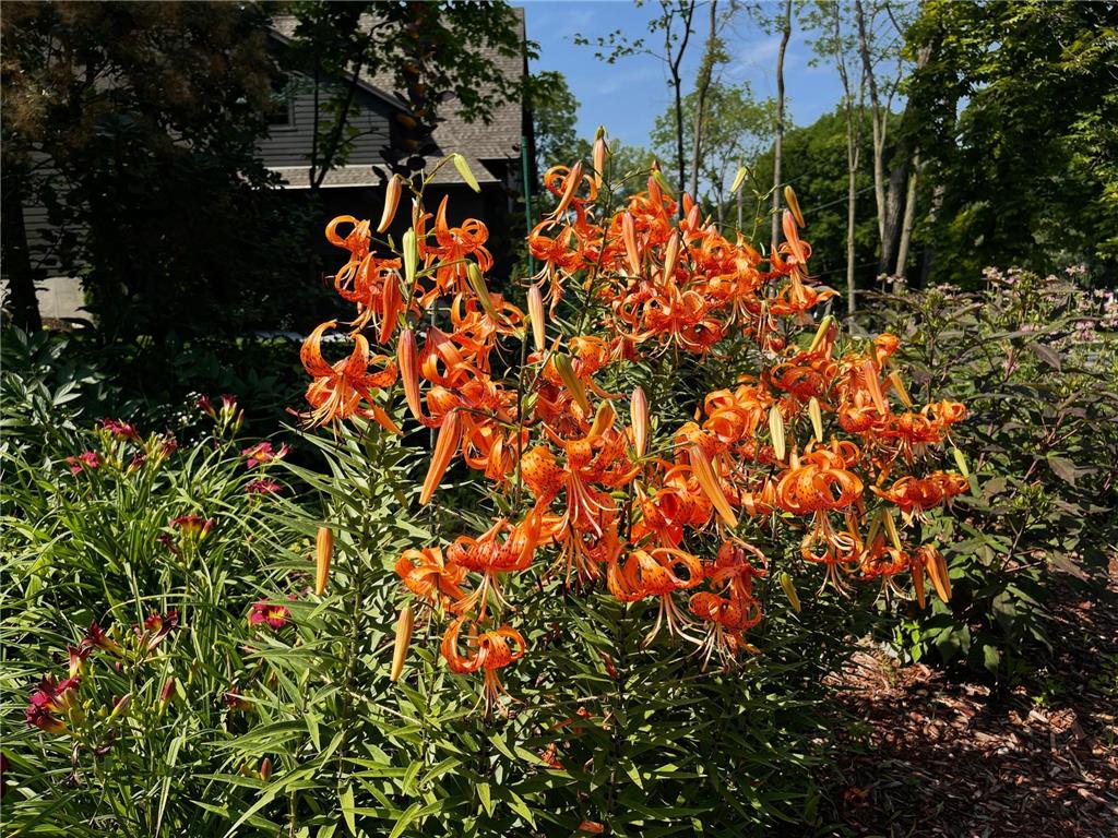 1000 Heritage Lane Orono MN 55391 - Lake Minnetonka 7028610 image28