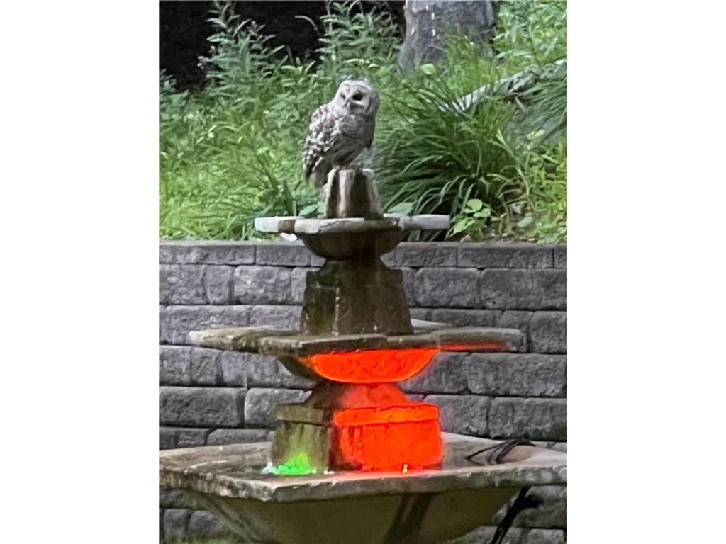 1000 Heritage Lane Orono MN 55391 - Lake Minnetonka 7028610 image29