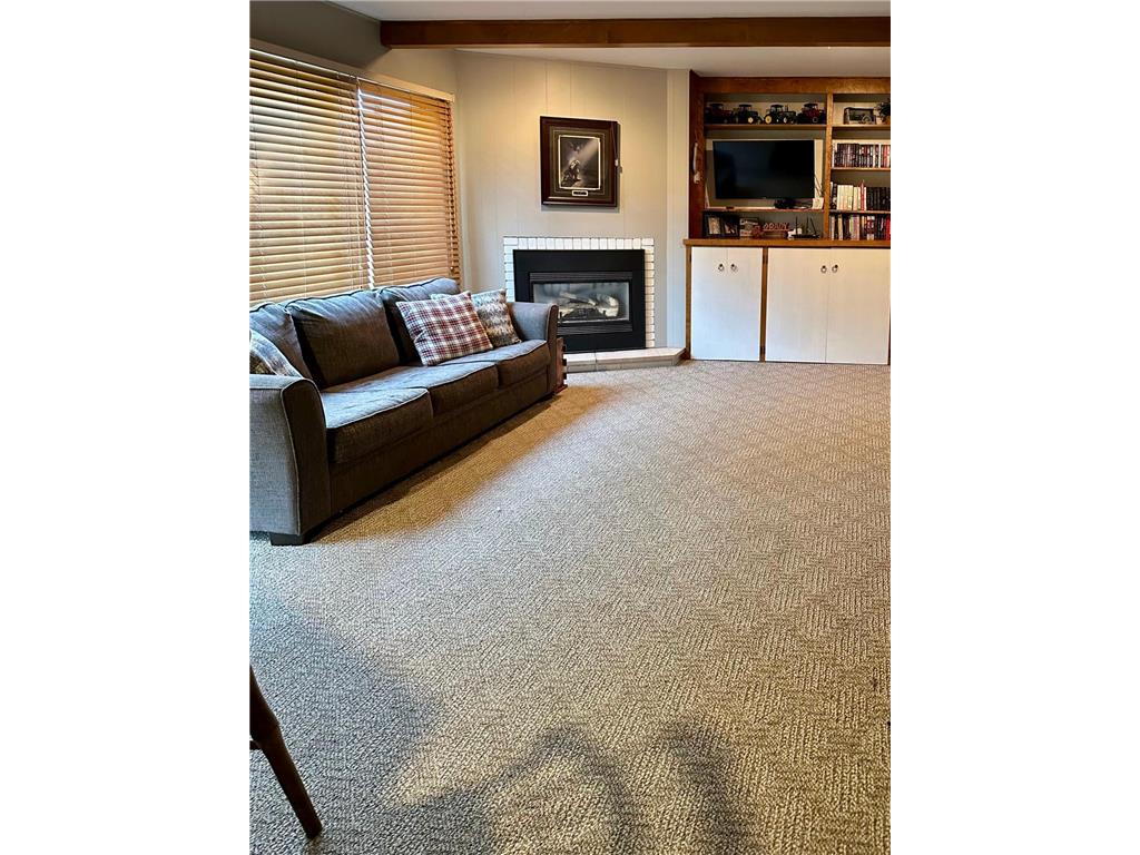 1000 W Birch Avenue Olivia MN 56277 6789763 image21