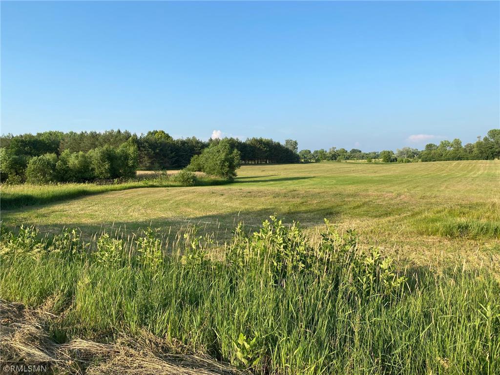 10001 748th Ave Dassel Twp MN 55325 6395748 image1