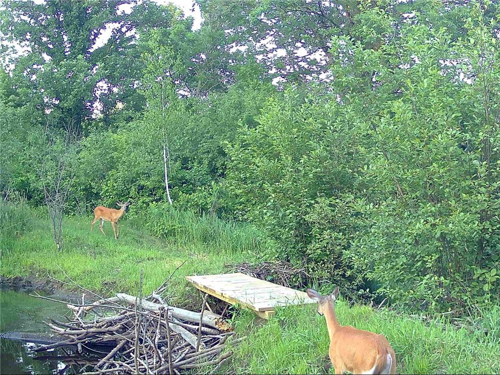 10005 Rice Road Brook Park Twp MN 55007 - Pokegama Creek 7080205 image16