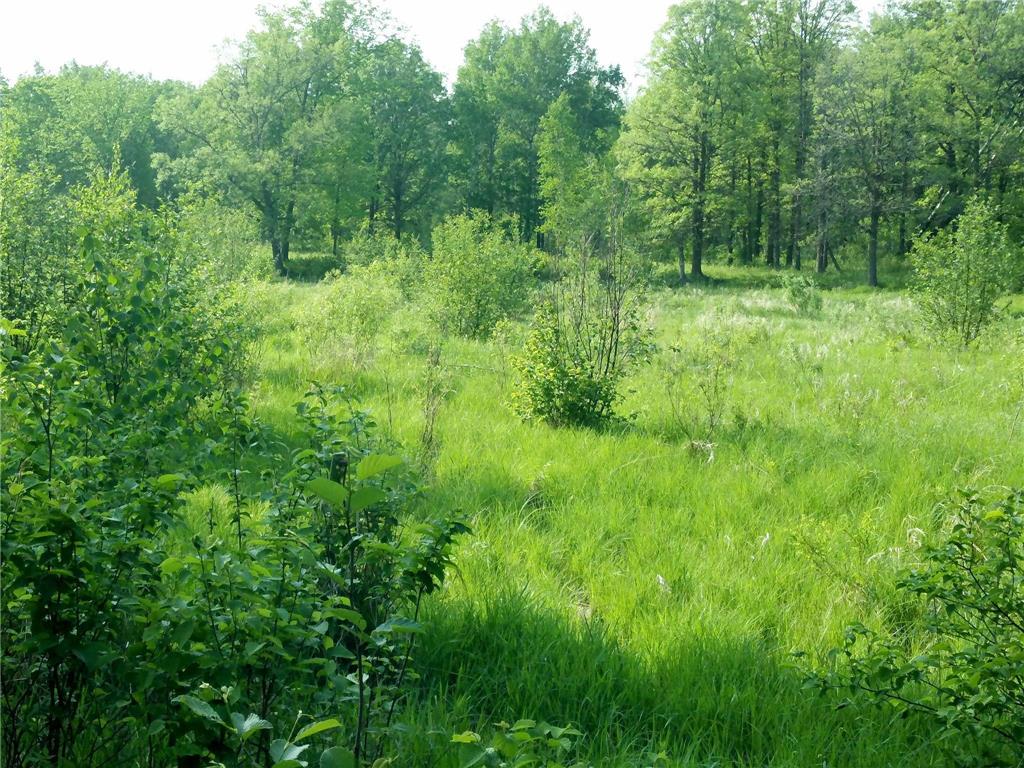 10005 Rice Road Brook Park Twp MN 55007 - Pokegama Creek 7080205 image3