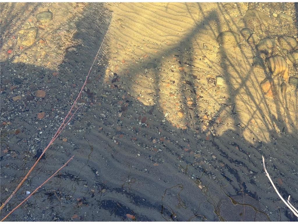 10007 Alcott Drive Birchdale Twp MN 56378 - Sauk 7006625 image7