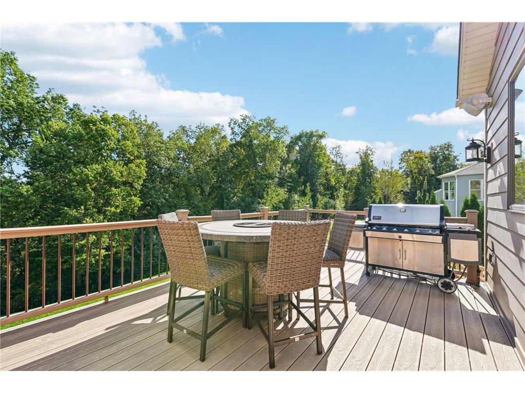 10009 Frederick Place Eden Prairie MN 55347 6801235 image17