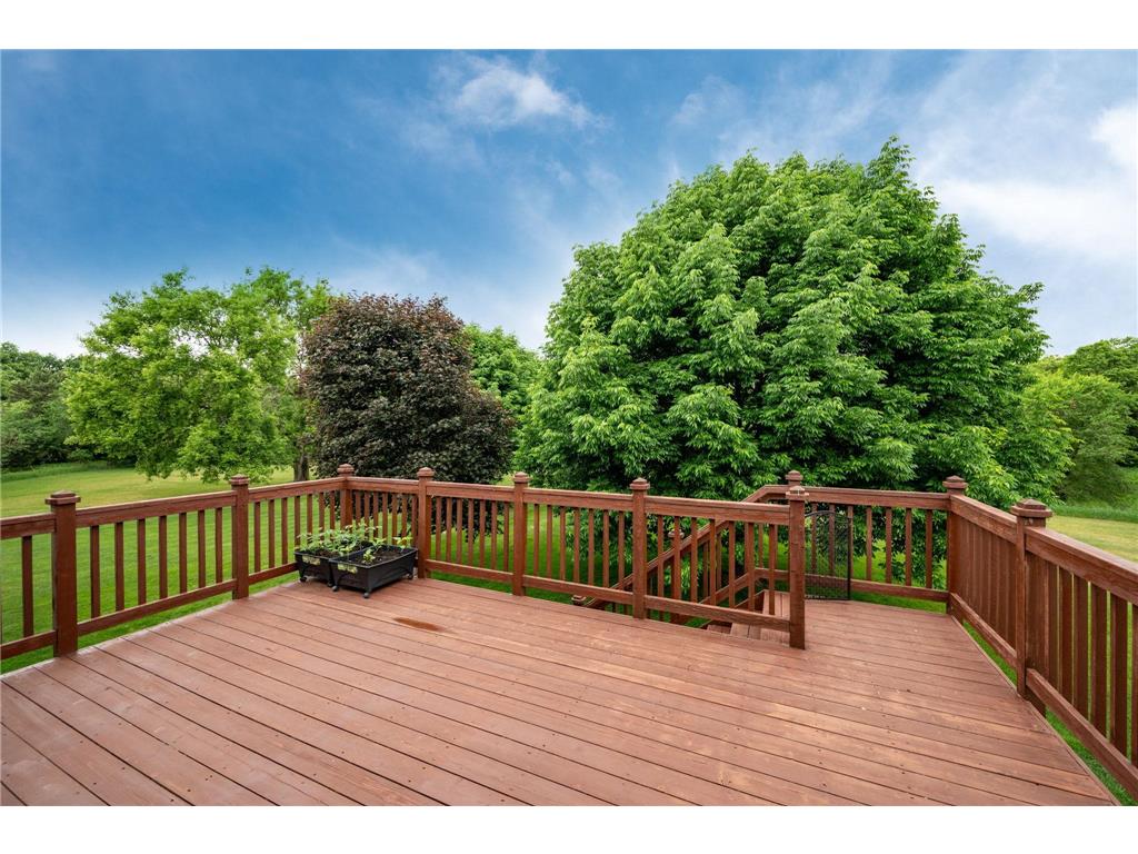 10009 James Avenue NE Monticello MN 55362 7089760 image39