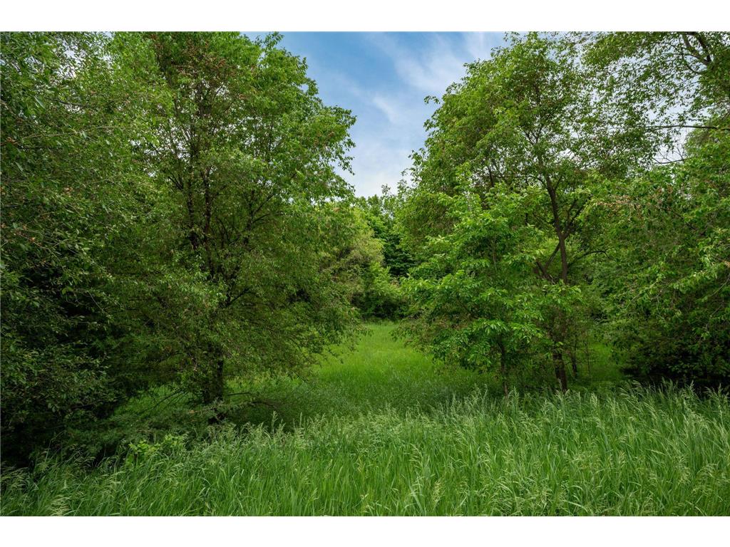 10009 James Avenue NE Monticello MN 55362 7089760 image43