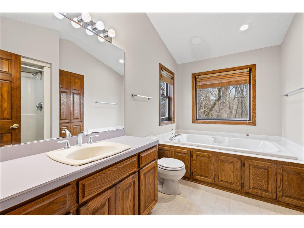 10013 170th Street W Lakeville MN 55044 6815133 image21