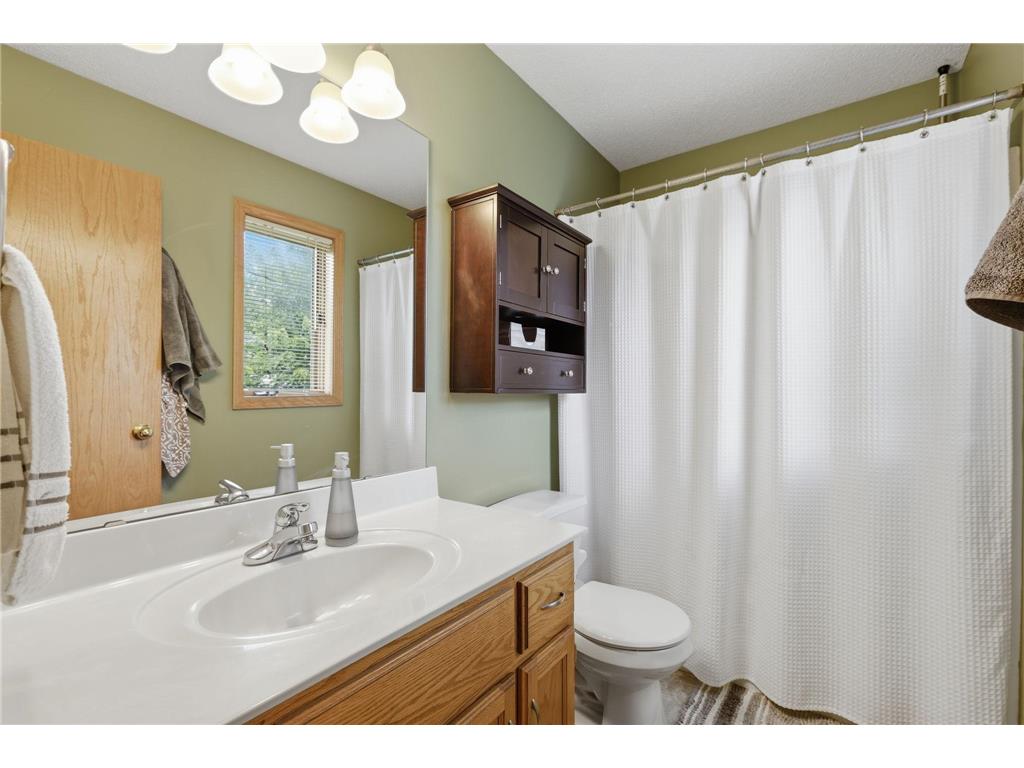 10014 Hidden Oaks Lane N Champlin MN 55316 7096679 image21