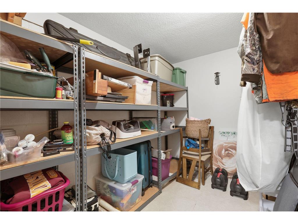 10014 Hidden Oaks Lane N Champlin MN 55316 7096679 image32