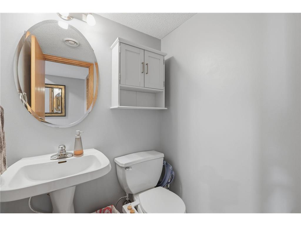 10014 Hidden Oaks Lane N Champlin MN 55316 7096679 image33