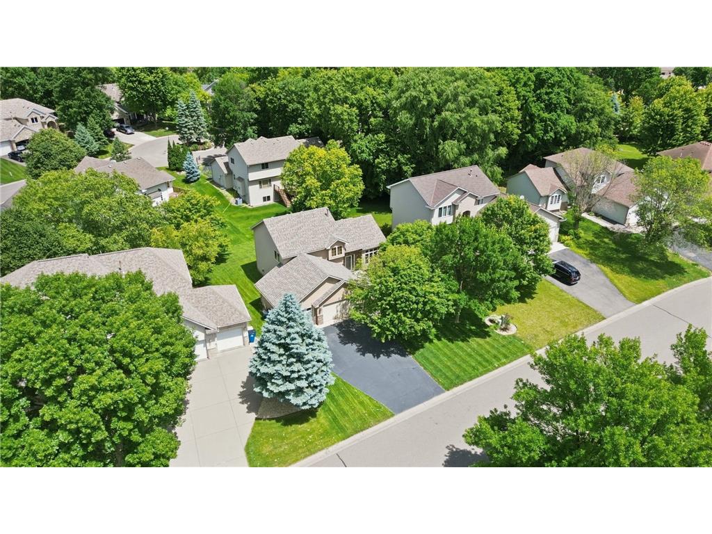 10014 Hidden Oaks Lane N Champlin MN 55316 7096679 image38