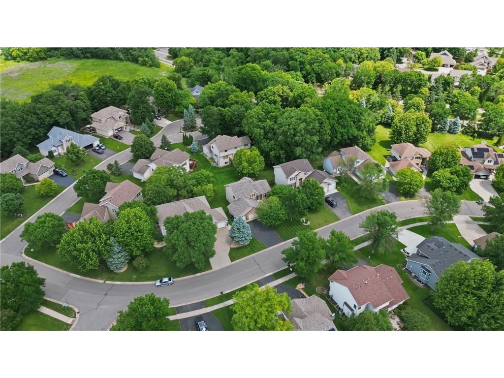 10014 Hidden Oaks Lane N Champlin MN 55316 7096679 image40