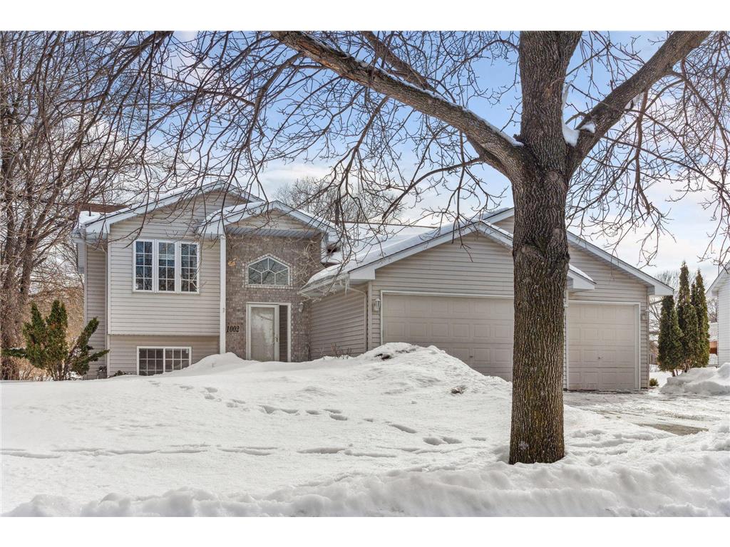 1002 114th Court NE, Blaine, MN, 55434 MLS 6336205 Edina Realty