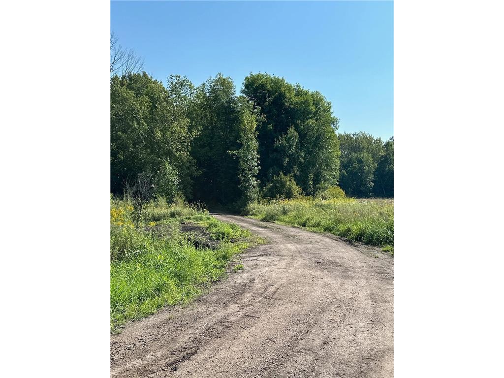 1002 Hwy 65 Grass Lake Twp MN 55006 6770115 image1